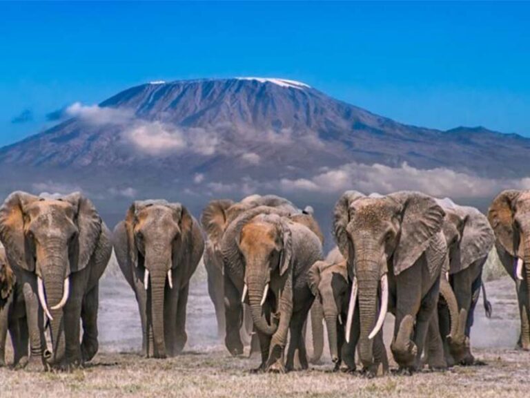 Places to visit in Kajiado SRC: @Kenyanmoves