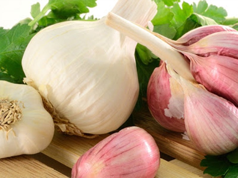 Major health benefits of garlic