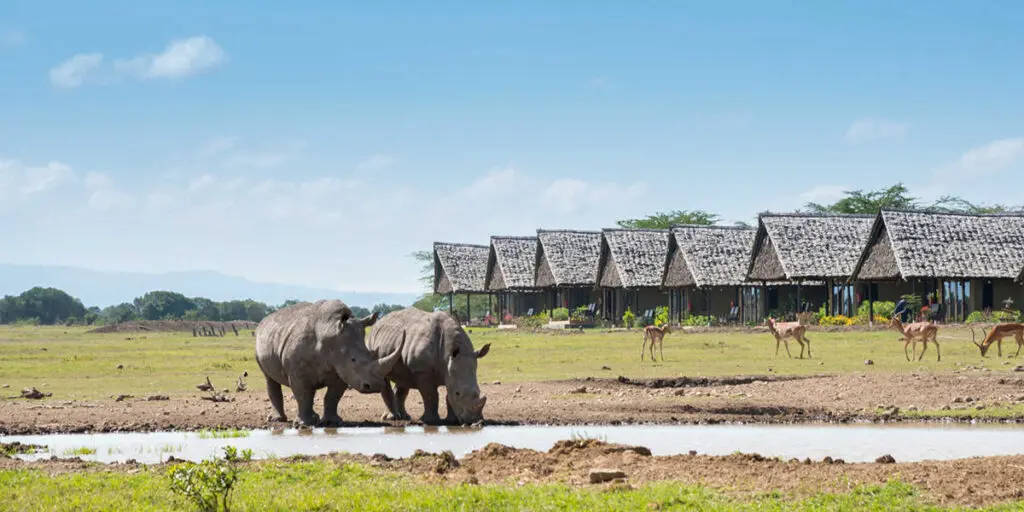 Ol Pejeta Conservancy