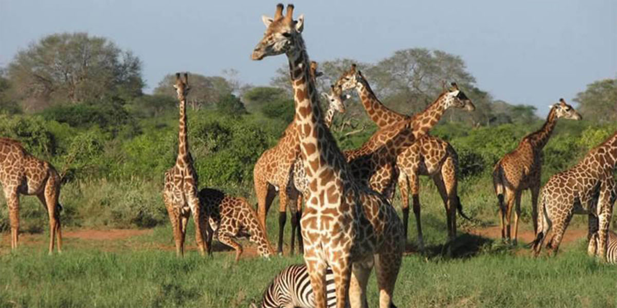 Top 20 best places to visit in Kenya this coming holiday - Kenyan Moves