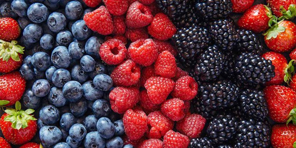 Various types of berries