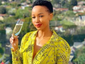 Read more about the article Huddah Monroe biography, age, tribe, family, education, career, boyfriend, rumors, salary, house, cars, and net worth
