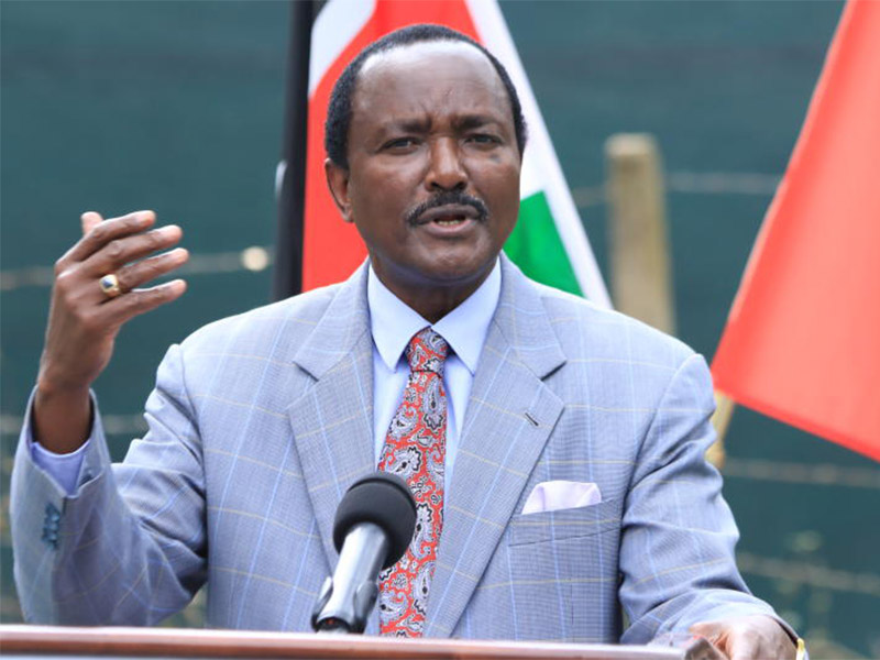 Read more about the article Kalonzo Musyoka Biography, age, tribe, education, career, wife, children, and net worth