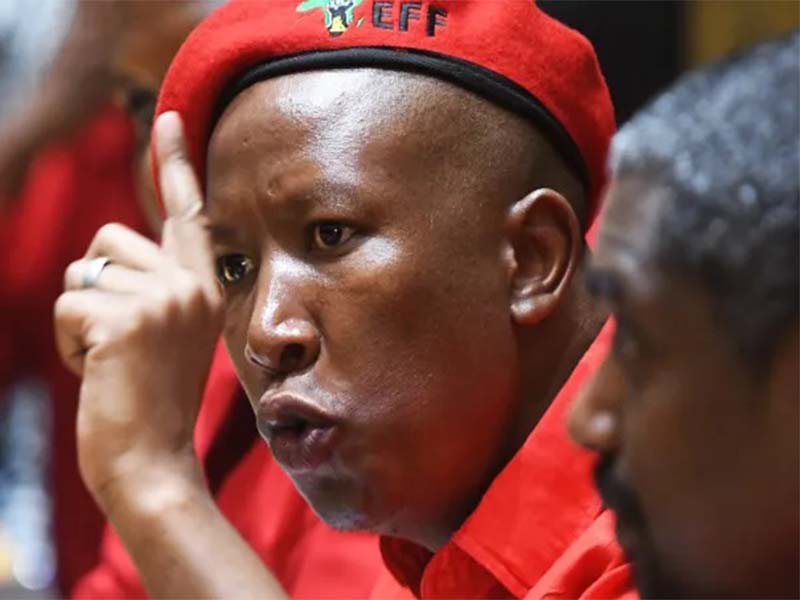 Read more about the article Julius Malema Biography, Age, Wife, Children, Salary, Net Worth, and Political Party