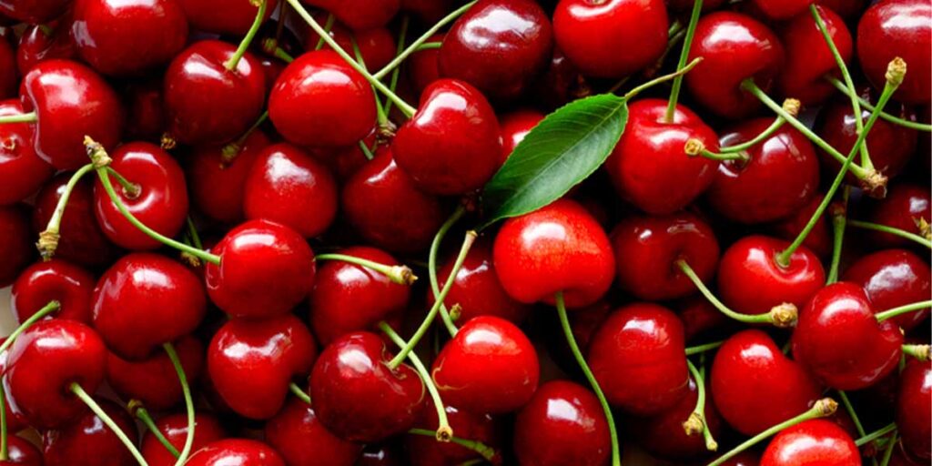 health benefits of cherries SRC: @Sber Healthcare Group 