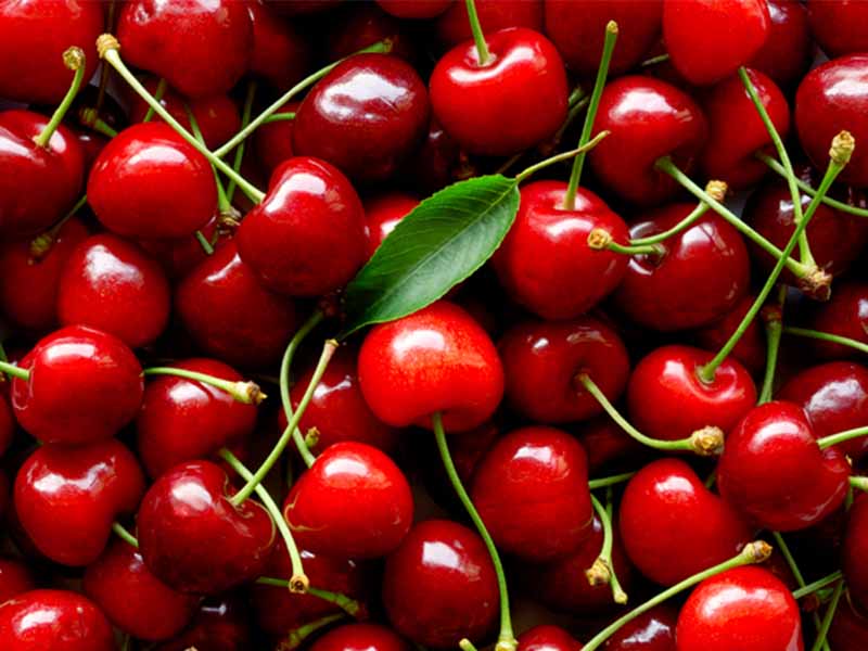 health benefits of cherries SRC: @Sber Healthcare Group