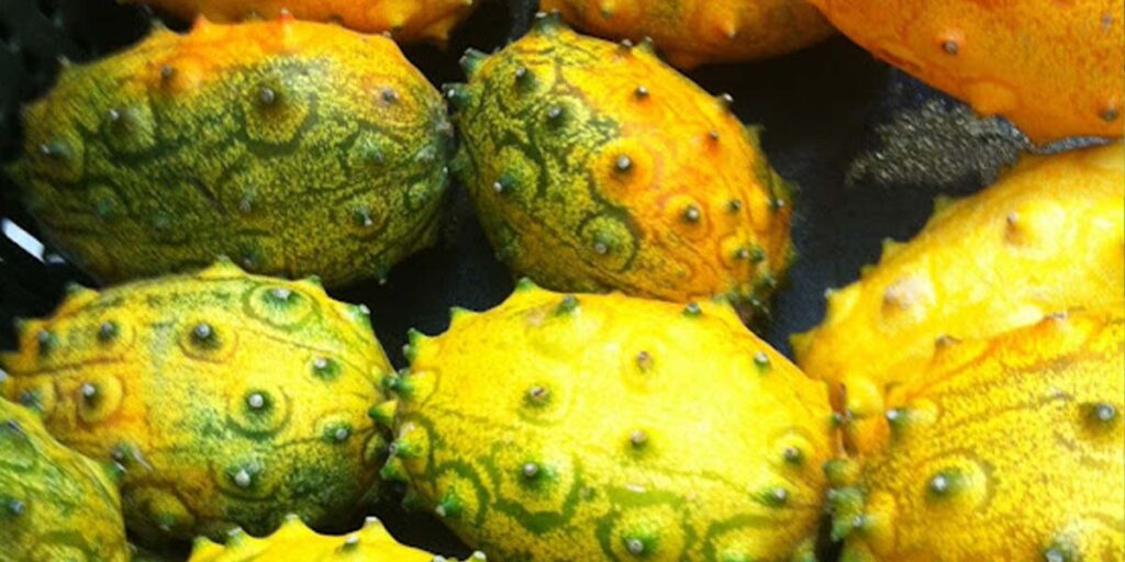 A picture of Ripe Kiwano Fruits SRC: @The Star