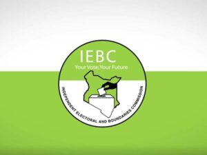 Read more about the article A number of Kenyans express their interest in the IEBC Commissioner posts