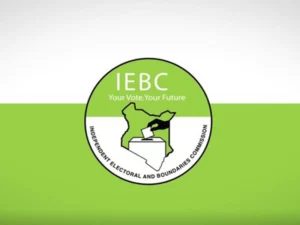 Read more about the article A number of Kenyans express their interest in the IEBC Commissioner posts