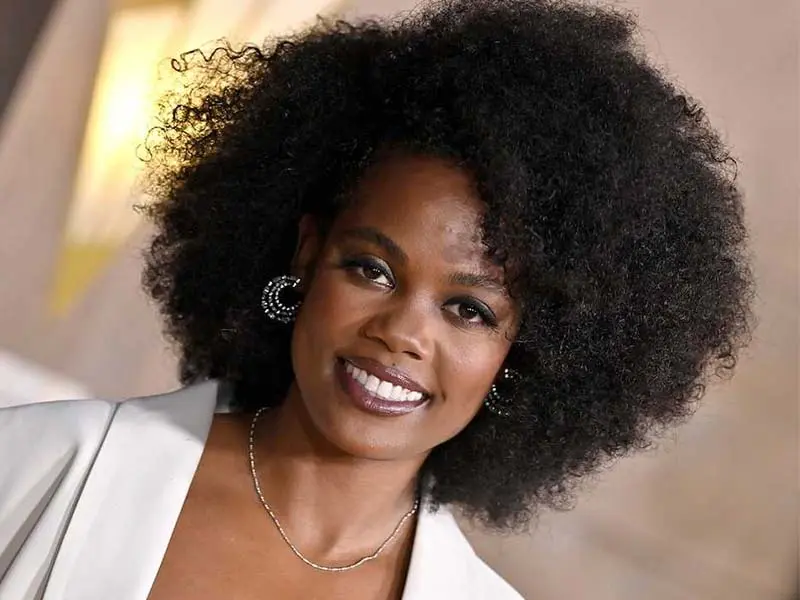 Read more about the article Sistas Series Novi Brown biography (Sabrina Hollins); age, career, breakthrough, film and TV work, astrology and personal philosophy